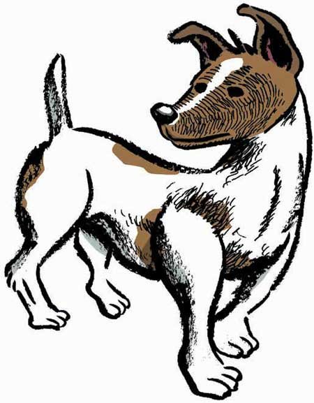 laika