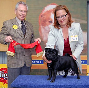 1pug