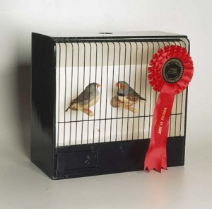 bestbirds