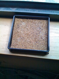 GordonMeyerCropCircle GordonMeyerCropCircle