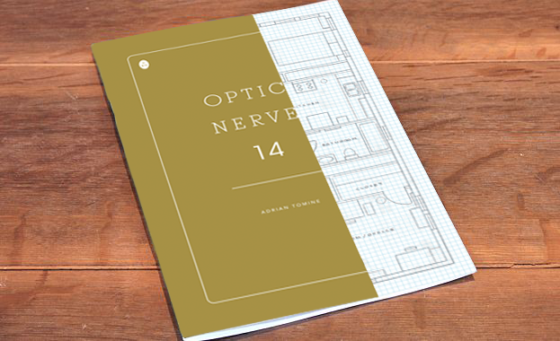 opticnerve14