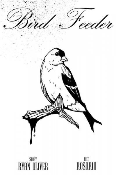 Bird Feeder