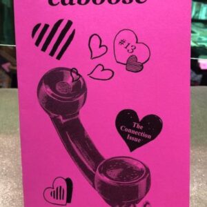 caboose13_lg.jpg Caboose #13 The Connection Issue