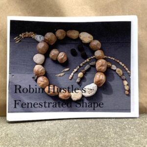 fenestratedsh_lg.jpg Robin Hustle's Fenestrated Shape