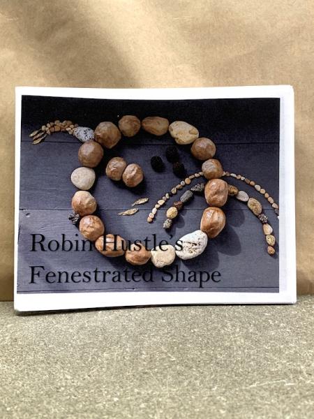 Robin Hustle's Fenestrated Shape